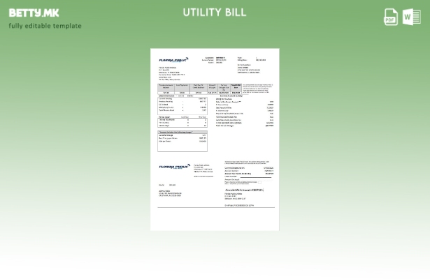 Модерен стил на САД Флорида за јавни комунални услуги шаблон за комунални сметки